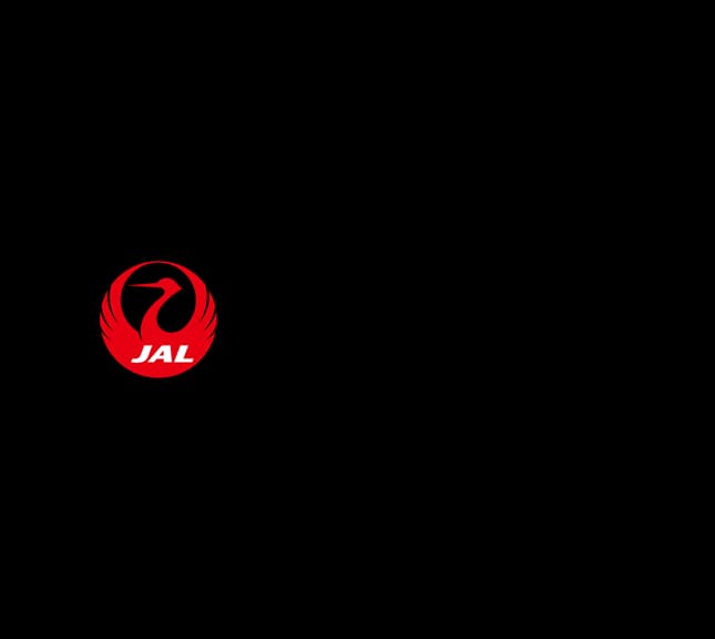 Airline logo