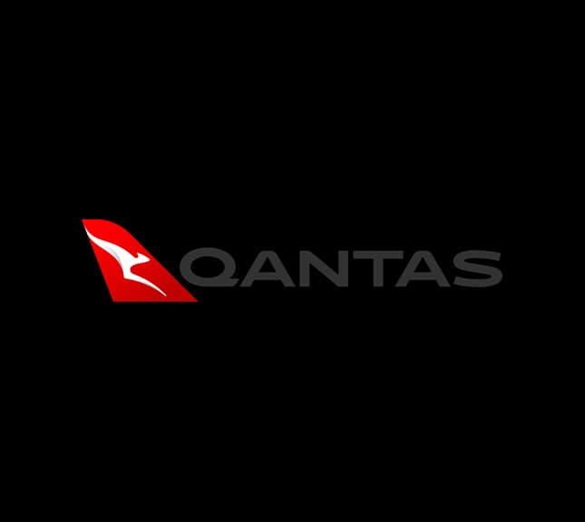 Airline logo