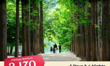 Seoul and Nami Island Tour